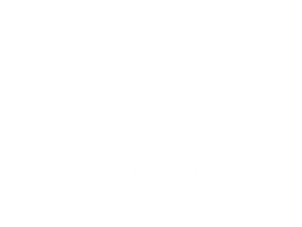 Mezbaan Tiffin Service